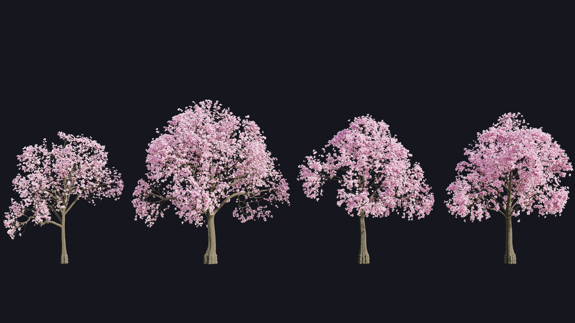 Cherry Blossom Trees preview